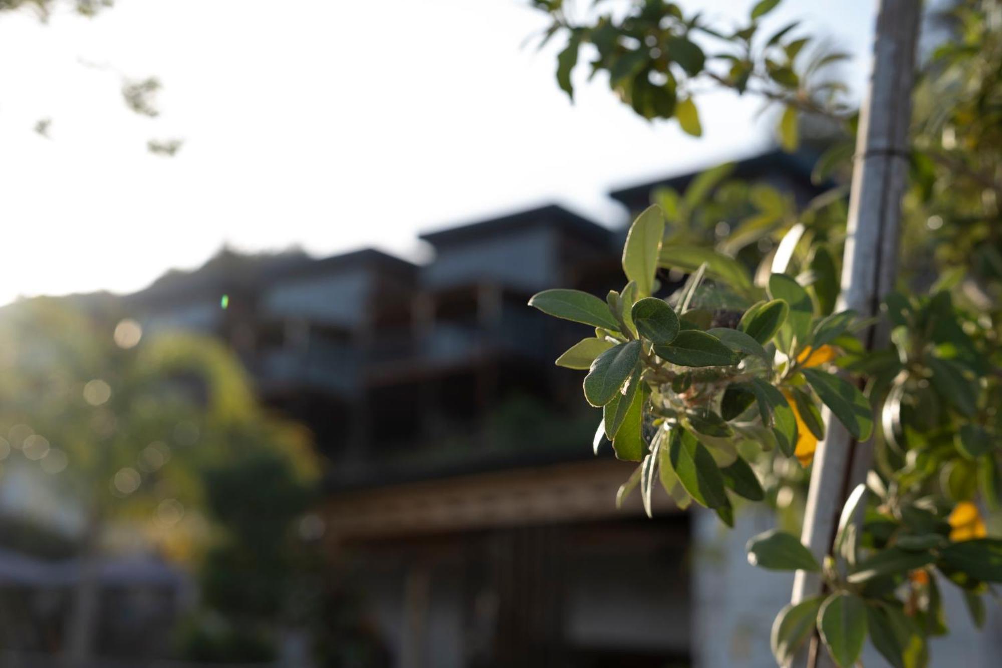 La Veranda Villas Kumluca Exterior photo